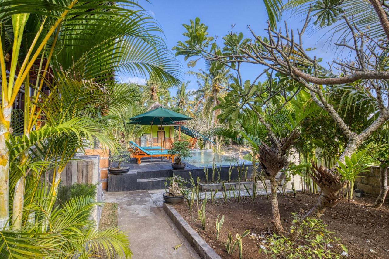 The Mountain Cottage Sakti المظهر الخارجي الصورة